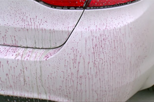 ravto odstranjevanje zračne rje